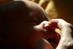 Sunkes Finger an Jontes Nase