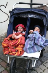theda_und_jonte_im_kinderwagen.jpg 
