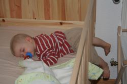 IMG_0647.jpg