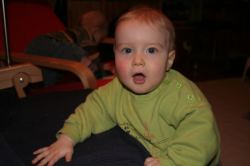 IMG_0956.jpg