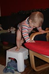 IMG_0995.jpg